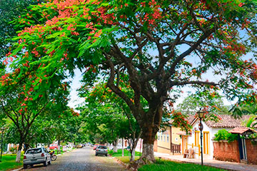 Pirenópolis - Ruas limpas e preservadas