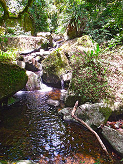 São Francisco de Paula - Parque das 8 Cachoeiras - Trilha Escondida