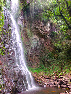 São Francisco de Paula - Parque das 8 Cachoeiras - Cachoeira da Neblina