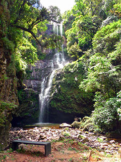 São Francisco de Paula - Parque das 8 Cachoeiras - Cachoeira do Remanso